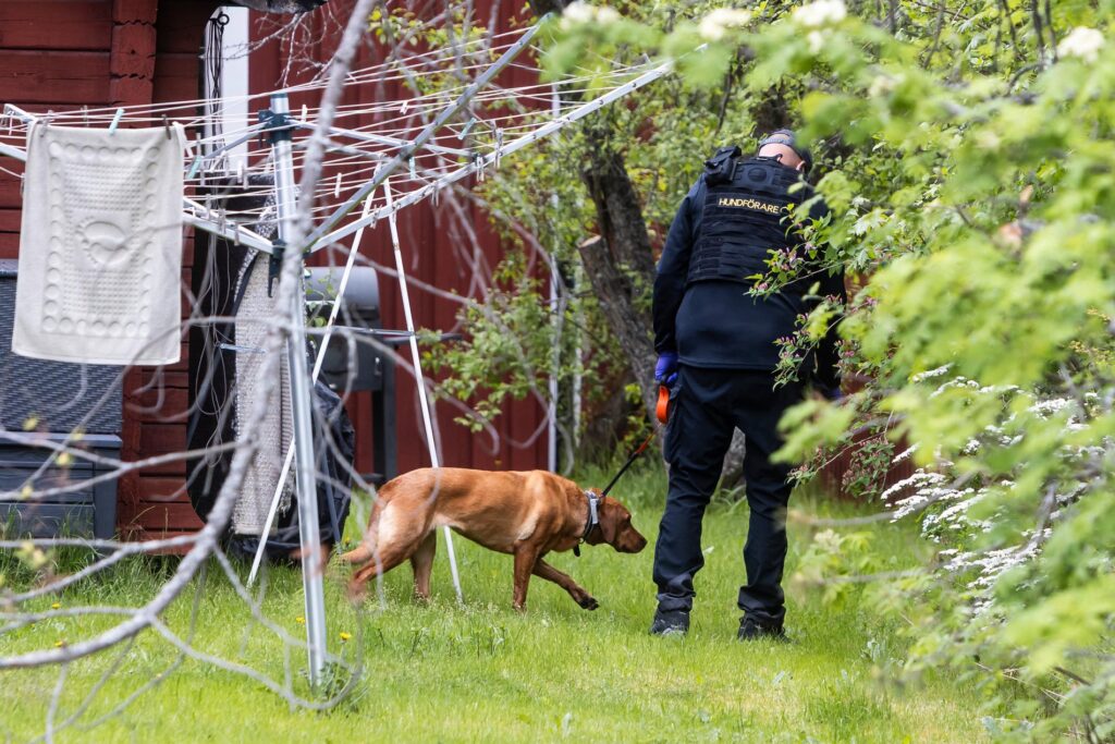 Misstänkt mord i Borlänge: En anhållen och utredningen som chockar staden