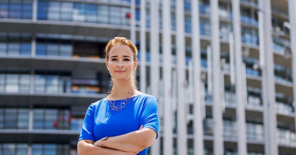 Bråket om Teodorescu Måwe: Hur en V-tjänsteman startade konflikten enligt EU-parlamentets utredning